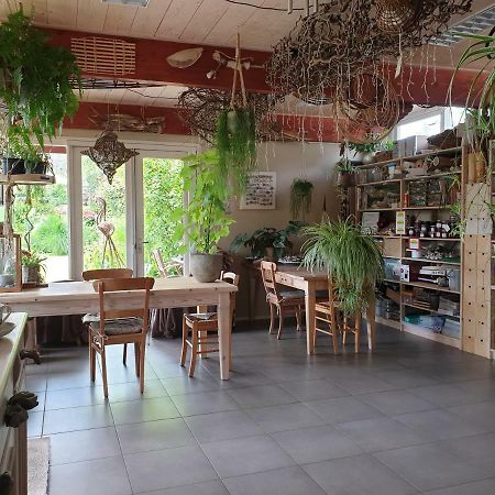 Appartementen Het Oude Atelier Schoorl Luaran gambar