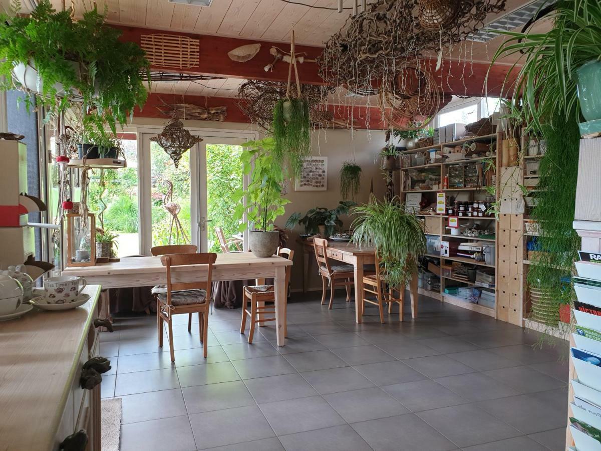 Appartementen Het Oude Atelier Schoorl Luaran gambar