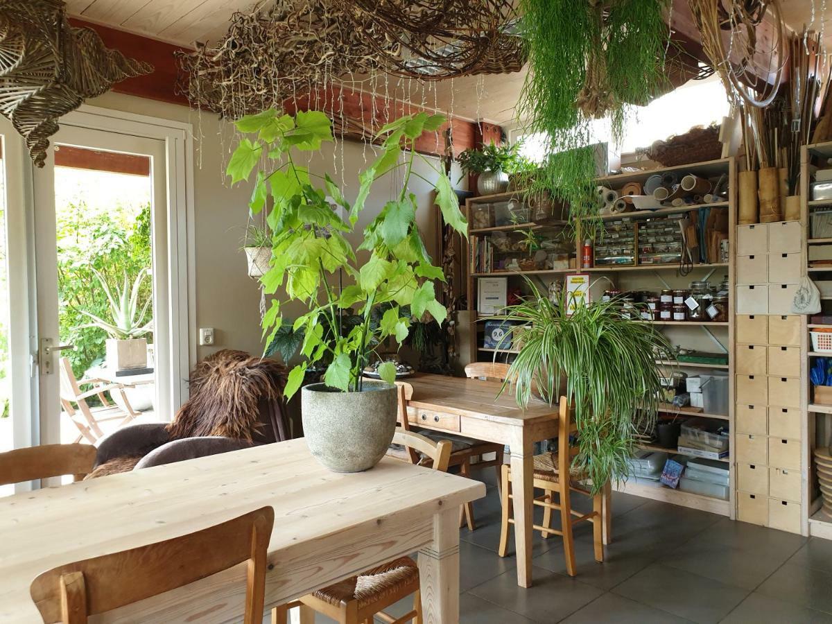 Appartementen Het Oude Atelier Schoorl Luaran gambar